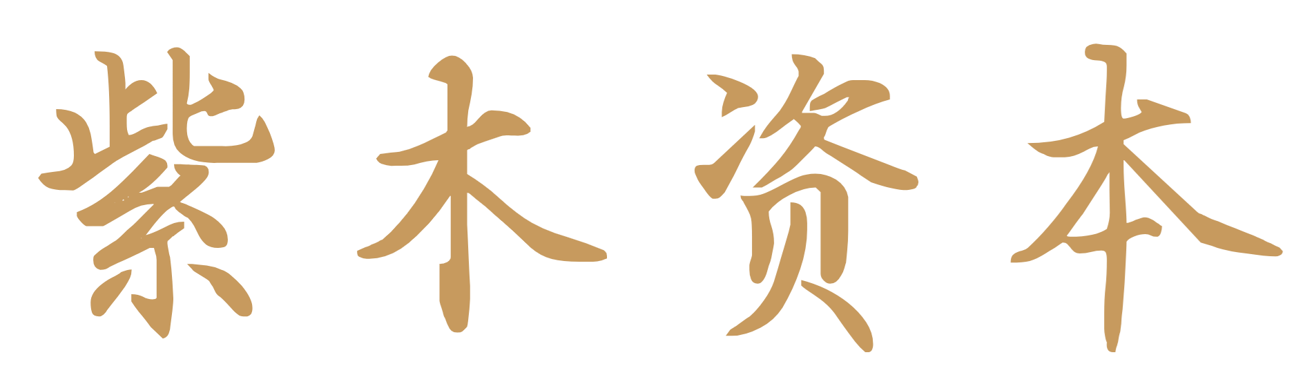 紫木资本